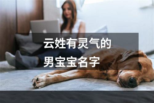 云姓有灵气的男宝宝名字