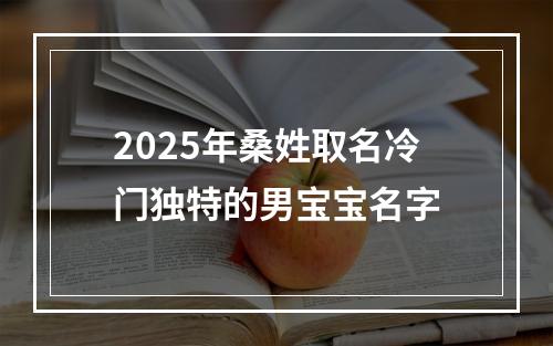 2025年桑姓取名冷门独特的男宝宝名字