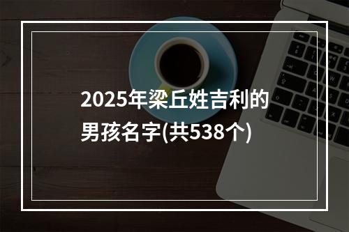 2025年梁丘姓吉利的男孩名字(共538个)