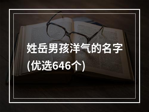 姓岳男孩洋气的名字(优选646个)