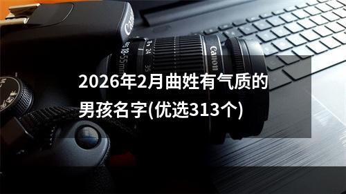 2026年2月曲姓有气质的男孩名字(优选313个)