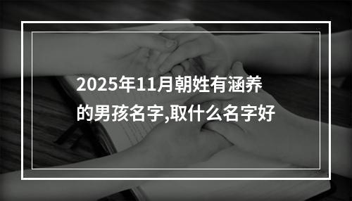 2025年11月朝姓有涵养的男孩名字,取什么名字好