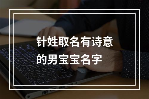 针姓取名有诗意的男宝宝名字