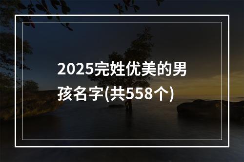 2025完姓优美的男孩名字(共558个)