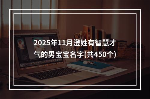 2025年11月澄姓有智慧才气的男宝宝名字(共450个)