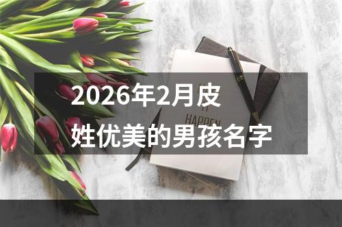 2026年2月皮姓优美的男孩名字