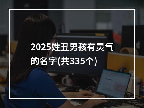 2025姓丑男孩有灵气的名字(共335个)
