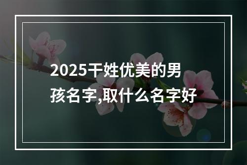 2025干姓优美的男孩名字,取什么名字好
