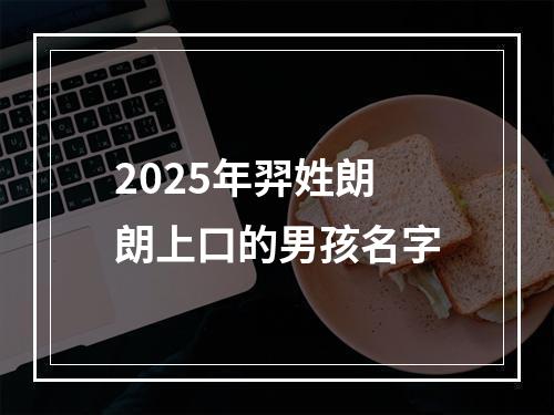 2025年羿姓朗朗上口的男孩名字