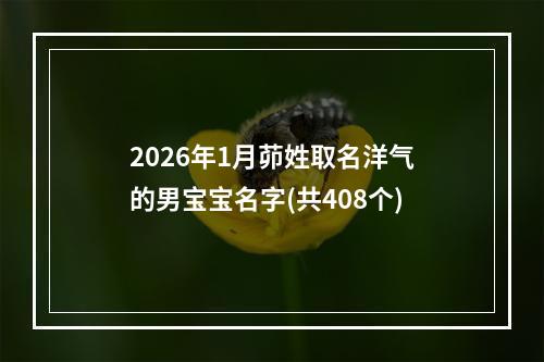 2026年1月茆姓取名洋气的男宝宝名字(共408个)