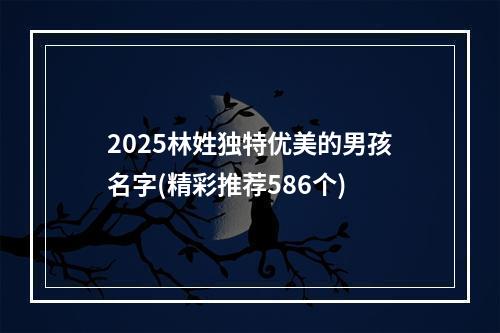 2025林姓独特优美的男孩名字(精彩推荐586个)