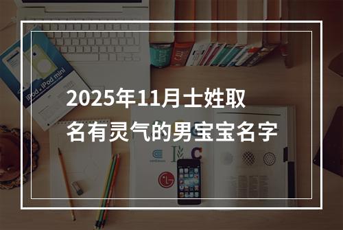 2025年11月士姓取名有灵气的男宝宝名字
