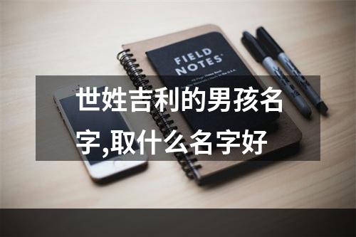 世姓吉利的男孩名字,取什么名字好