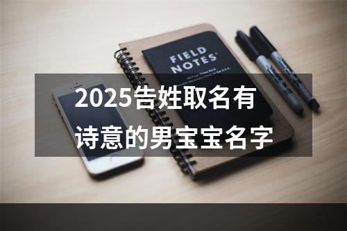 2025告姓取名有诗意的男宝宝名字