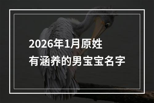 2026年1月原姓有涵养的男宝宝名字