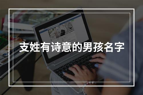 支姓有诗意的男孩名字