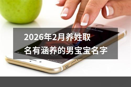 2026年2月养姓取名有涵养的男宝宝名字