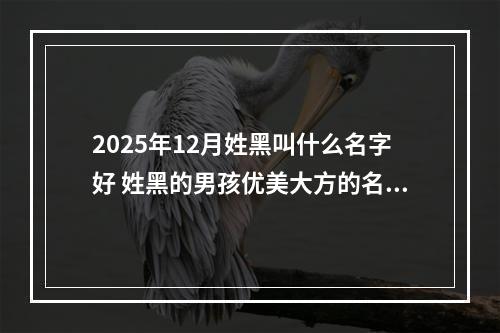 2025年12月姓黑叫什么名字好 姓黑的男孩优美大方的名字