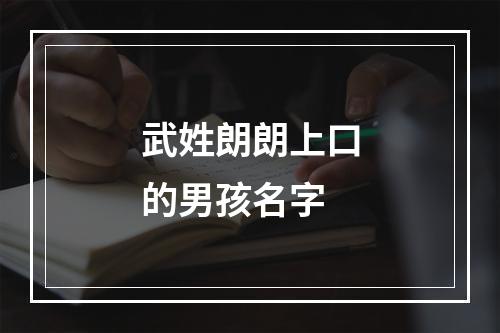 武姓朗朗上口的男孩名字