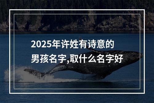 2025年许姓有诗意的男孩名字,取什么名字好