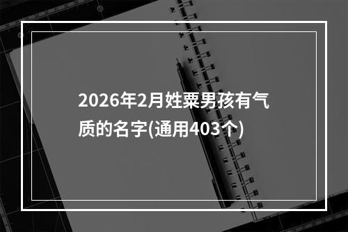 2026年2月姓粟男孩有气质的名字(通用403个)