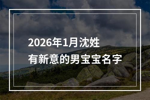 2026年1月沈姓有新意的男宝宝名字