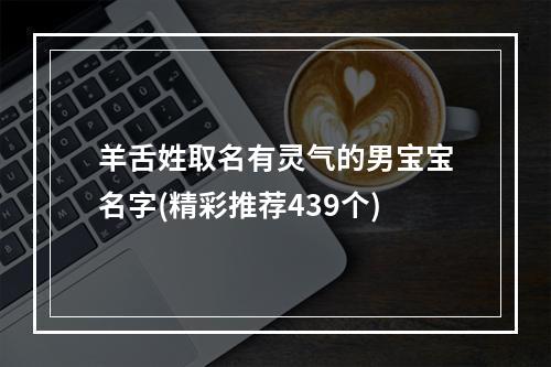 羊舌姓取名有灵气的男宝宝名字(精彩推荐439个)