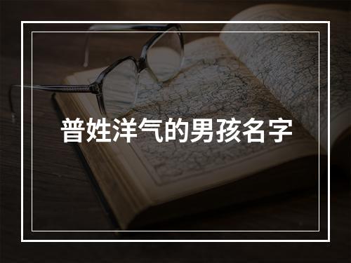 普姓洋气的男孩名字