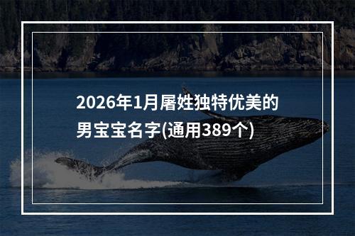 2026年1月屠姓独特优美的男宝宝名字(通用389个)