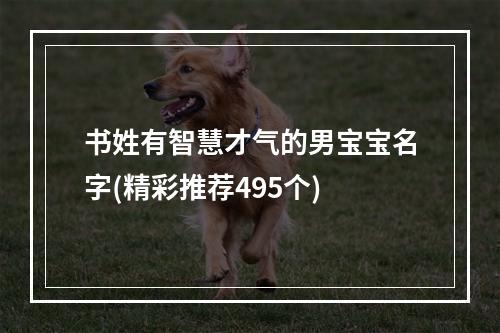 书姓有智慧才气的男宝宝名字(精彩推荐495个)