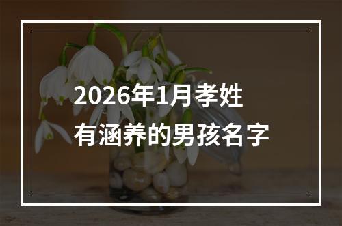 2026年1月孝姓有涵养的男孩名字