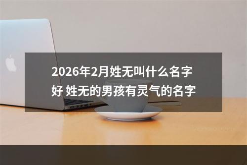 2026年2月姓无叫什么名字好 姓无的男孩有灵气的名字