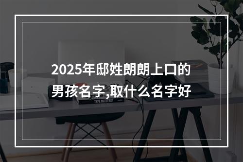 2025年邸姓朗朗上口的男孩名字,取什么名字好