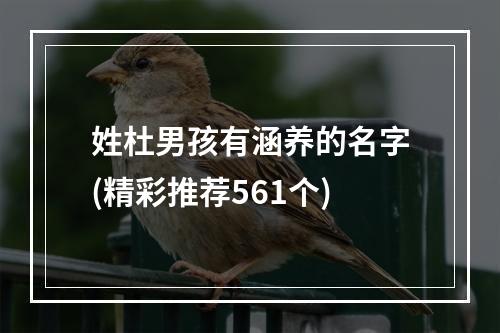 姓杜男孩有涵养的名字(精彩推荐561个)