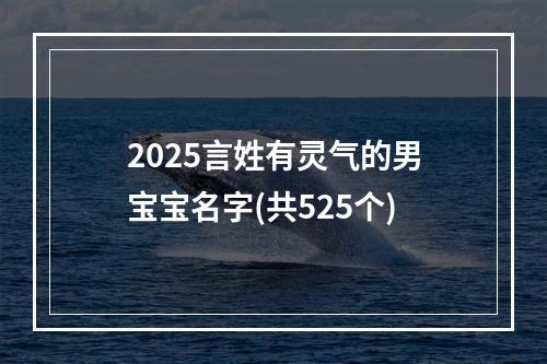 2025言姓有灵气的男宝宝名字(共525个)