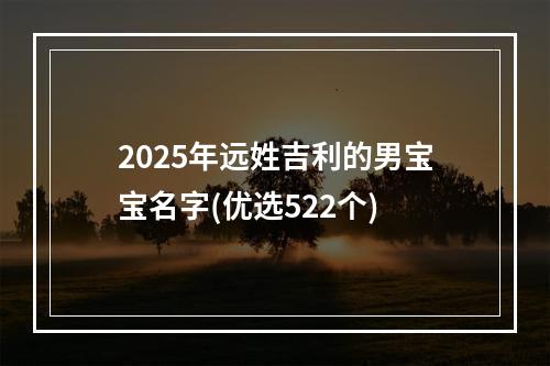 2025年远姓吉利的男宝宝名字(优选522个)
