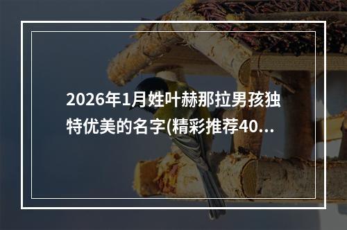 2026年1月姓叶赫那拉男孩独特优美的名字(精彩推荐408个)