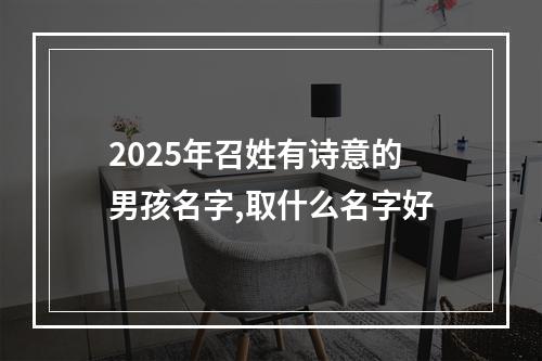 2025年召姓有诗意的男孩名字,取什么名字好