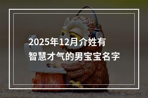 2025年12月介姓有智慧才气的男宝宝名字