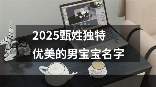 2025甄姓独特优美的男宝宝名字