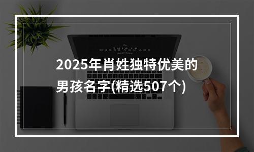 2025年肖姓独特优美的男孩名字(精选507个)