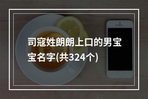司寇姓朗朗上口的男宝宝名字(共324个)