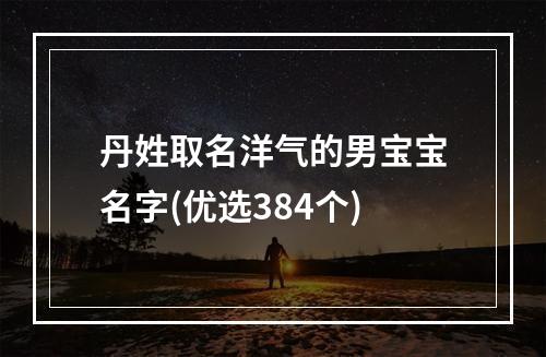 丹姓取名洋气的男宝宝名字(优选384个)