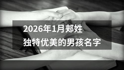 2026年1月郏姓独特优美的男孩名字