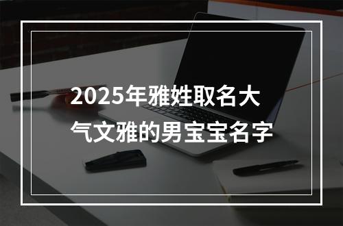 2025年雅姓取名大气文雅的男宝宝名字