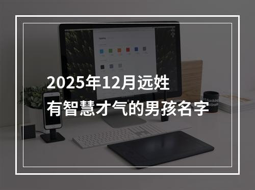 2025年12月远姓有智慧才气的男孩名字