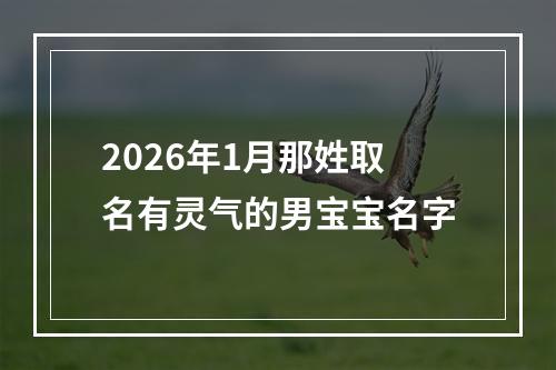 2026年1月那姓取名有灵气的男宝宝名字