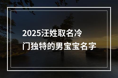 2025汪姓取名冷门独特的男宝宝名字