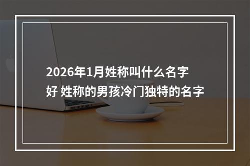 2026年1月姓称叫什么名字好 姓称的男孩冷门独特的名字