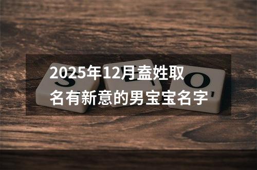 2025年12月盍姓取名有新意的男宝宝名字